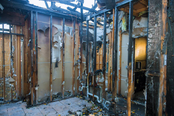 Professional Fire Damage Removal technician working in Dansville, NY